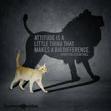 attitude2