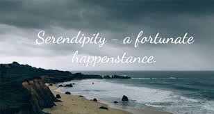 seredipity2